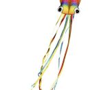 Hq Cerf-volant Rainbow Octopus Envergure (détails) 700 mm Force du vent supportée 2 - 5 bft 4031169291004 106900