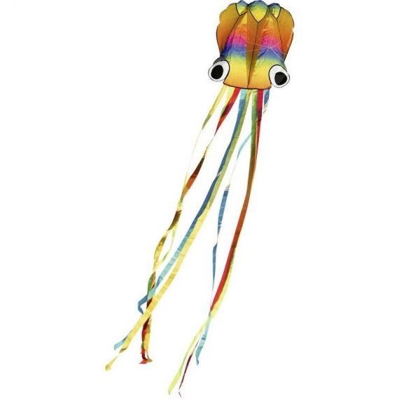 Hq Cerf-volant Rainbow Octopus Envergure (détails) 700 mm Force du vent supportée 2 - 5 bft 4031169291004 106900
