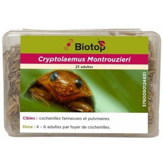 Biotop - 25 coccinelles anti cochenilles 3760050124831 3760050124831