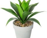Plante artificielle Aloe Vera décoratif 35cm - Silumen 7427245533392 JA-PLANT-160073