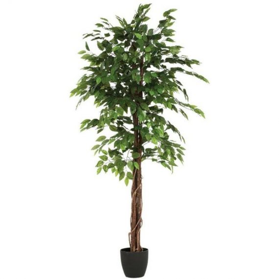 Atmosphera,cr Ateur D'int Rieur - Plante Artificielle 'Ficus' 185cm Vert  8187