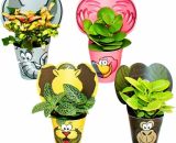 Ensemble de plantes d'intérieur amusantes 'Animaux' - 4 plantes avec des animaux - idéal comme cadeau pour les anniversaires d'enfants - Exotenherz 4019515914593 177120112020