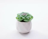 Plantes artificielles Succulent Cactus Faux décoratif Mini simulation de plantes en pot Cactus Cacti pour salle de bain Accueil Maison Décorations 9439895526349 C21036466-1