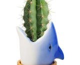 Pot de Plantes Céramique, Animal Succulentes Pots Cactus Succulente Plante Pot, Décoration Pot Plante Intérieur pour Bureau, Maison - Requin 8473091047797 QE-0113