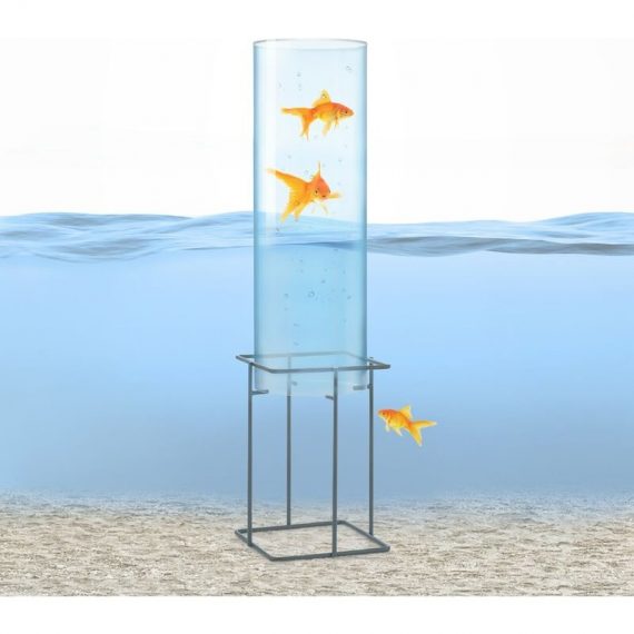 Skydive 60 tour à poissons 60 cm Ø 20 cm acrylique métal transparent - Blum 4060656225369 4060656225369