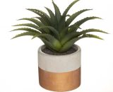 Plante verte artificielle Aloe Vera 28cm avec pot bicolore - SILUMEN 7427245534290 JA-PLANT-173014-CU