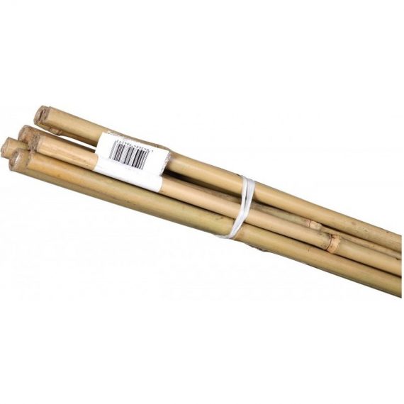 Bauherr - Baton de bambou 600x6-8 mm (10 pièces) 4043684995190 3684995190