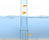 Blum - Skydive 100 tour à poissons 100 cm ø 20 cm acrylique métal transparent 4060656225352 4060656225352