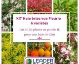 Kit Haie Brise Vue Fleurie - 6 variétés - 30 plantes en pot de 1litre  5777