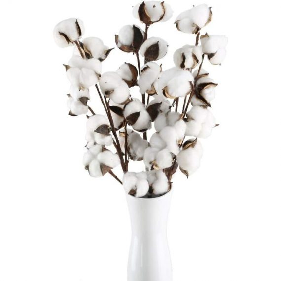 3 pièces branche de coton 10 têtes fleurs séchées naturellement fleurs décoratives artificielles fleurs artificielles blanches fausses fleurs logiques 9771353160611 MIN1510