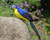 Faux perroquets color��s oiseaux artificiels mod��le ext��rieur maison jardin pelouse arbre d��cor f - f 5782005481972 ZZP90819823F
