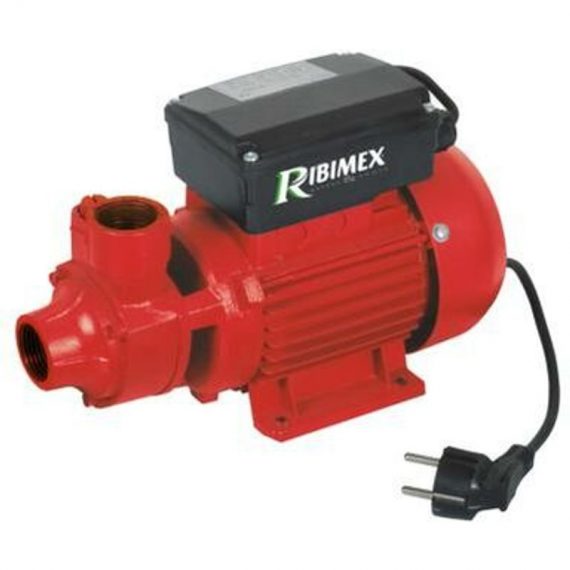 Ribimex - Pompe centrifuge à eau (propre) et gasoil 370 W 8018919999249 PRPC115