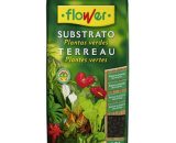 Substrat de plantes vertes 10L | Flower 8426584800607 80060