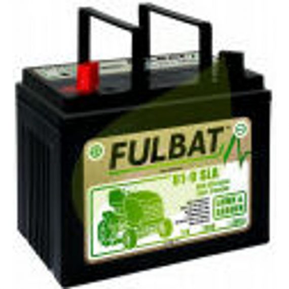 Batterie tondeuse autoportée 12V 28AH - 12N24-4A - + a gauche 3700959506574 SG0114-02677 (U1-250)