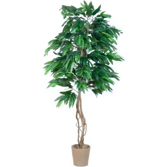 Plantasia - ® Manguier artificiel 180 cm 4048821005213 40010039