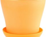 Mini pot de fleurs en plastique color��, plante succulente, pot de fleurs, d��cor de bureau �� domicile Orange - Orange 5053054981578 HHY80726001OR