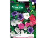 Vilmorin - Sachet graines Pétunia varié 3211500009739 5510541