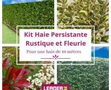 Kit arbustes persistant, rustique et fleuri - 4 variétés -12 plantes en pot de 4L  3579