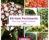 Kit Haie persistante - 7 variétés - 7 plantes en godet  1576