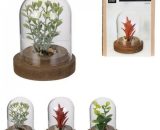cloche decorative plante artificielle 8cm, 3-fois 8400084288028 840084288020