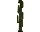 Cactus mexicains avec pot noir cmø40 h 183 8054248528071 3628560000