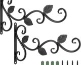 Support à Crochet Mural en Fer pour Pot de Fleurs, [2 PCS] Suspension Plante Fixation Murale en Forme d'Oiseau pour Panier Lanterne, Décoration de 2593752981102 Tionr-Ty-218