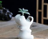 Pots de Fleurs en Céramique Blanc,Guazhuni Pots de Fleurs pour Plante Succulente, Mini Pot de Plante Hippopotame, Céramique Pots Plantes Décoration 9466991446738 GUAnLB-003555