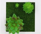 Plantes artificielles de simulation tenture murale 3D/fleurs de bureau fausses plantes cadre photo pour la décoration murale de bureau à domicile 805444906754 H41204-21|111