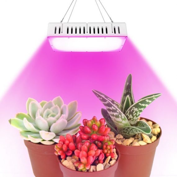 Lampes de culture Full Spectrum Plant Lemp avec double ventilateur ultra-silencieux 1500W pour jardin 4502190970904 143BL