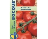 Grainesbocquet - Tomate hybride F1 Paola - 0,2g 3361980009191 222012