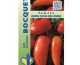 Tomate Andine Cornue - 0,2g 3361980009160 222021