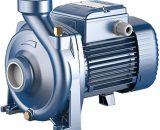 Pedrollo - Électropompes centrifuges Moyens débits HFm 5A 240 V pour l'irrigation  A3G0050