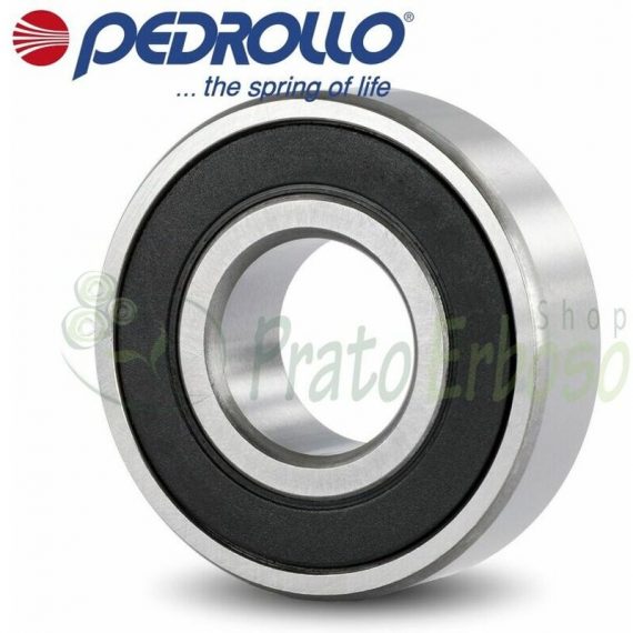 Pedrollo - 6203 2RS-C3 - Roulements à billes 17x40x12 mm  6203 2RS-C3