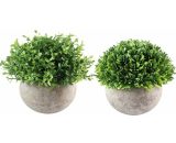 2PCS Mini Plantes Artificielle Quatre Couches d'herbe et Herbes Melaleuca en Forme Boule avec Pot pour Décoration 7042421113481 PLANCO2