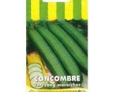 Concombre vert long maraîcher - 3g 3361980411215 411037