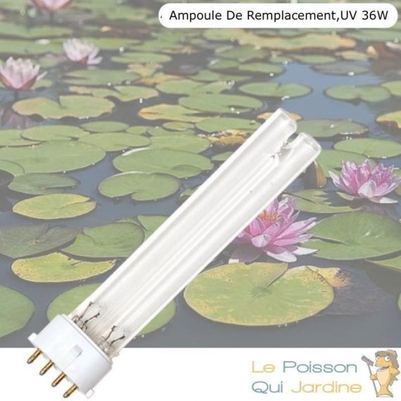 Ampoule UV 36W, Stérilisateur - Clarificateur Pour Aquarium, Bassin De Jardin 3000174835528 1748