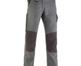 Kapriol - Pantalon de travail pour femme TÉNÉRÉ PRO gris Taille: M 8019190328339 32833