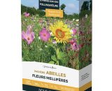 Prairies fleuries : Jachère abeilles 300 à 600 m2 3700472709193 3700472709193