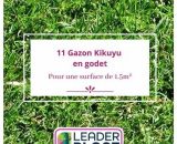 Leaderplantcom - 11 Kikuyu - Gazon Kikuyu en godet pour une surface de 1.5m²  12785