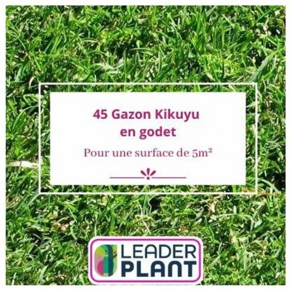 Leaderplantcom - 45 Kikuyu - Gazon Kikuyu en godet pour une surface de 5m²  13090