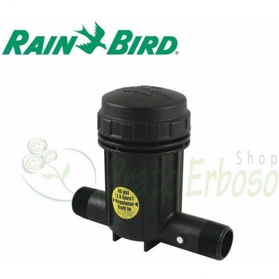 IPRB100 - cylindre de Filtre pour micro-irrigation par 1? avec régulateur de pression  IPRB100