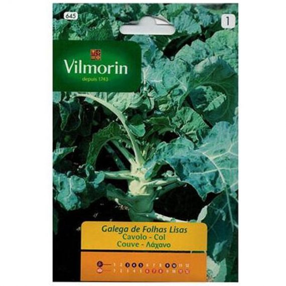 Graines galiciennes feuilles de lumire Vilmorin 8g 3182670074578 CM-0000001413
