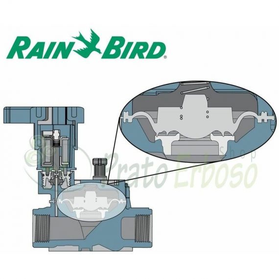 Rain-bird - LFV-075 - Électrovanne, 3/4'  LFV-075