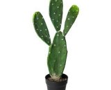 Plante Artificielle en Pot 'Cactus' 60cm Vert  40680