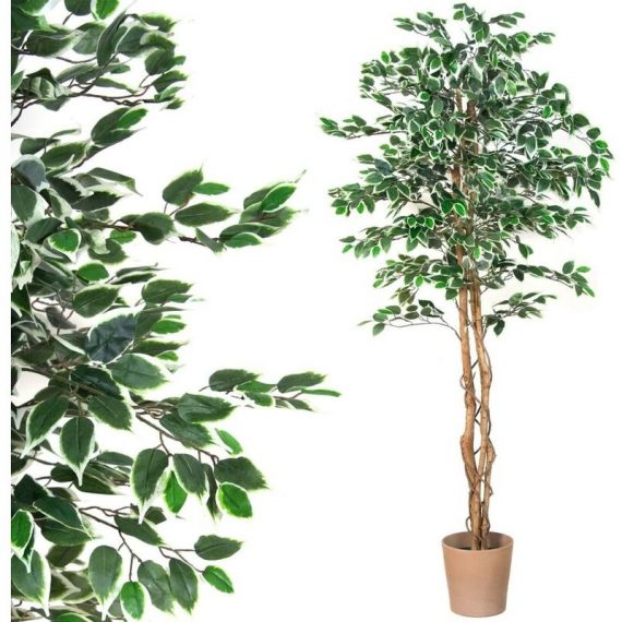 Grand ficus vert artificiel 190 cm - Plantasia 4048821005275 40010045