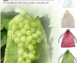 Regali - 50pcs sacs de protection des fruits lutte antiparasitaire filet de jardin anti-oiseaux sacs de fraises sac de raisins en maille cordon de 9015272463485 Sun-27141LJH