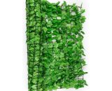 Fency Bright Ivy Clôture pare-vue Paravent 300x150 cm lierre -vert clair - Blum 4260435913467 4260435913467