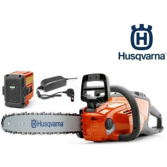 Husqvarna Group - Pack tronçonneuse à batterie Husqvarna 120i 2100000199761 967098202