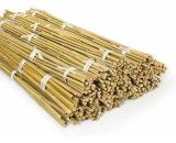 Bâtons de bambou Bahia Bâtonnets du Tonkin Longueur: 60 cm Diamètre: 8-10 mm 20 pièces - Nature 4059382341245 fd-25992