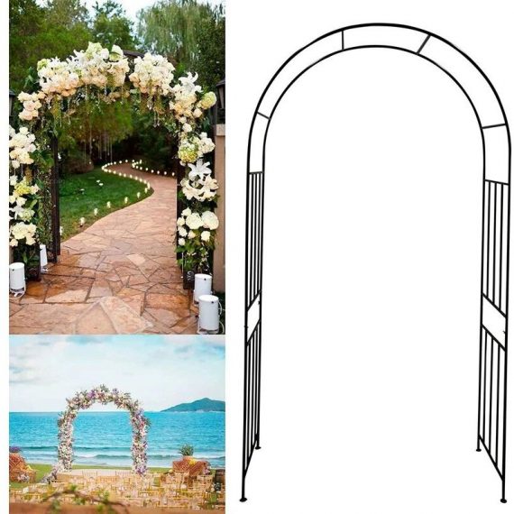 Arche de jardin en métal noir pour plantes grimpantes, roses, vignes, étagère de support, extérieur, pelouse, arrière-cour, terrasse (noir-2)  19970424900
